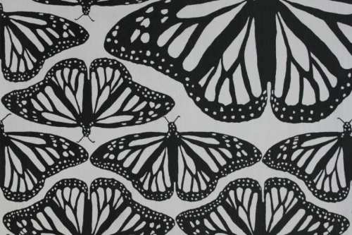 Painting of butterflies lined up together in black and white.